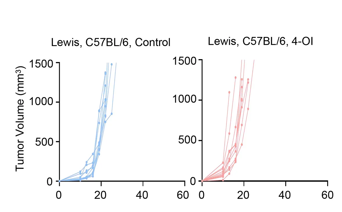 Open access visualization of Line Plot, Scatter Plot, Tumor Volume, Lewis Xenograft Tumors, OI Treatment