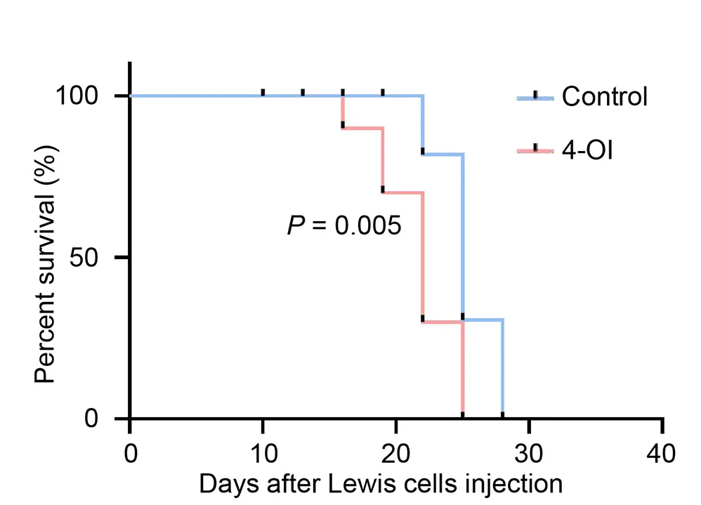 Open access visualization of Survival Curve, Line Step, Kaplan-Meier Survival Curves, C57BL/6 Mice, Lewis Syngeneic Tumor