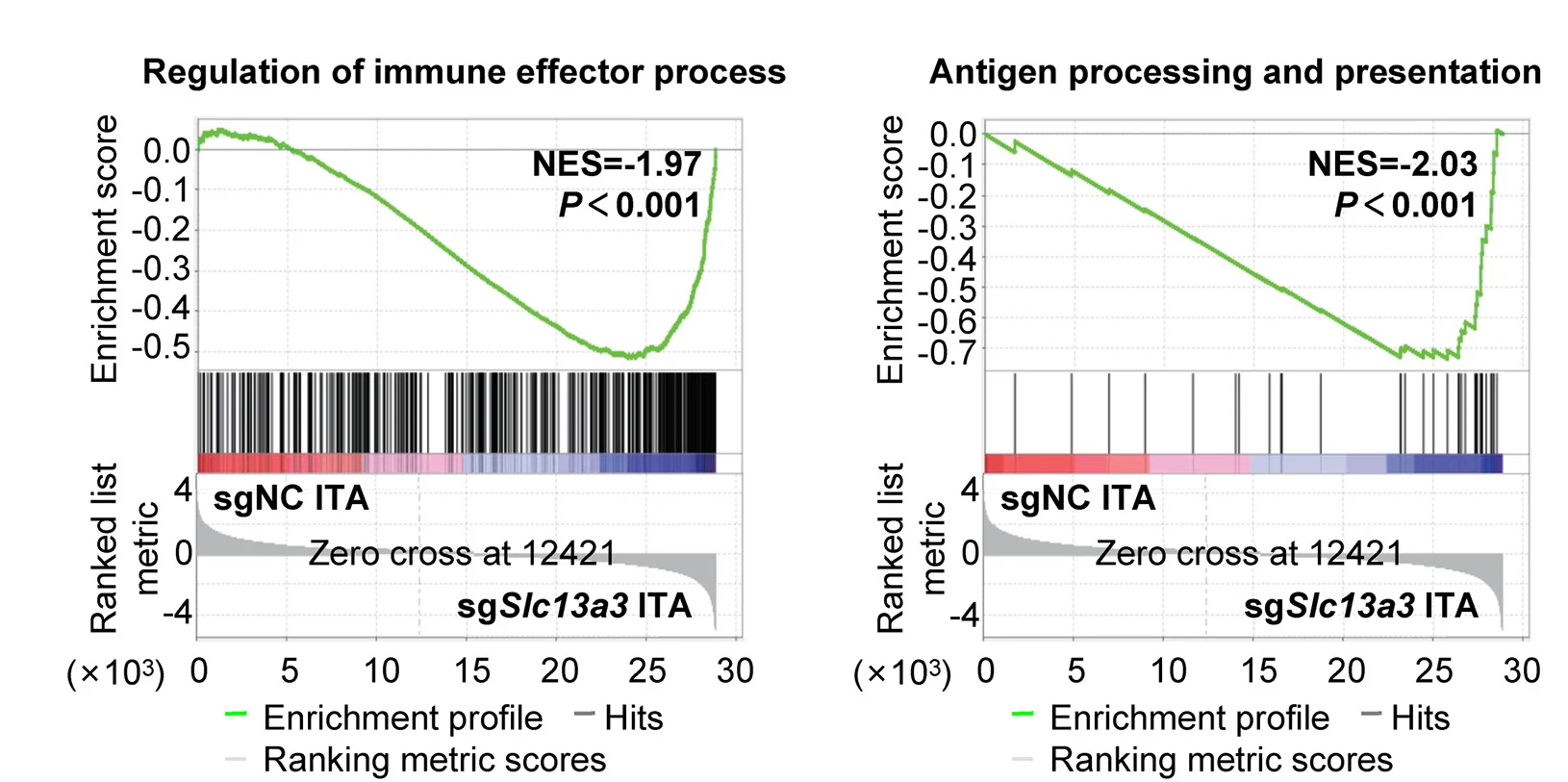 Open access visualization of Line Plot, Line Step, Enrichment Score, Immune-Related Pathways, Slc13a3WT Cells