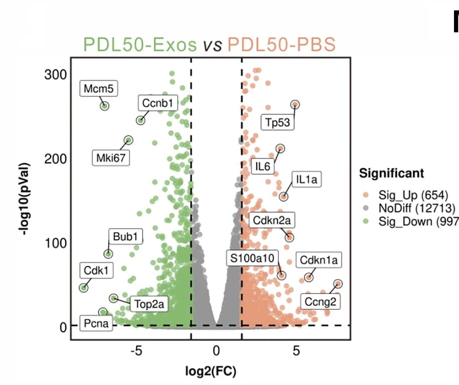 Open access visualization of Scatter Plot, Volcano Plot, Gene Expression, IMR-90 Cells