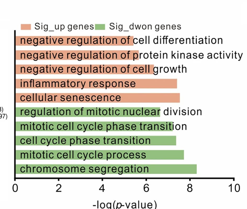 Open access visualization of Bar Plot, GO Analysis, Differentially Expressed Genes