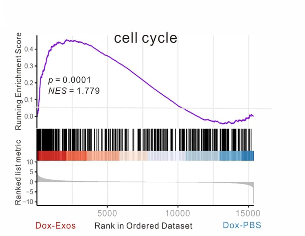 Open access visualization of Line Plot, Density Plot, GSEA Score, Cell Cycle Module, IMR-90 Cells