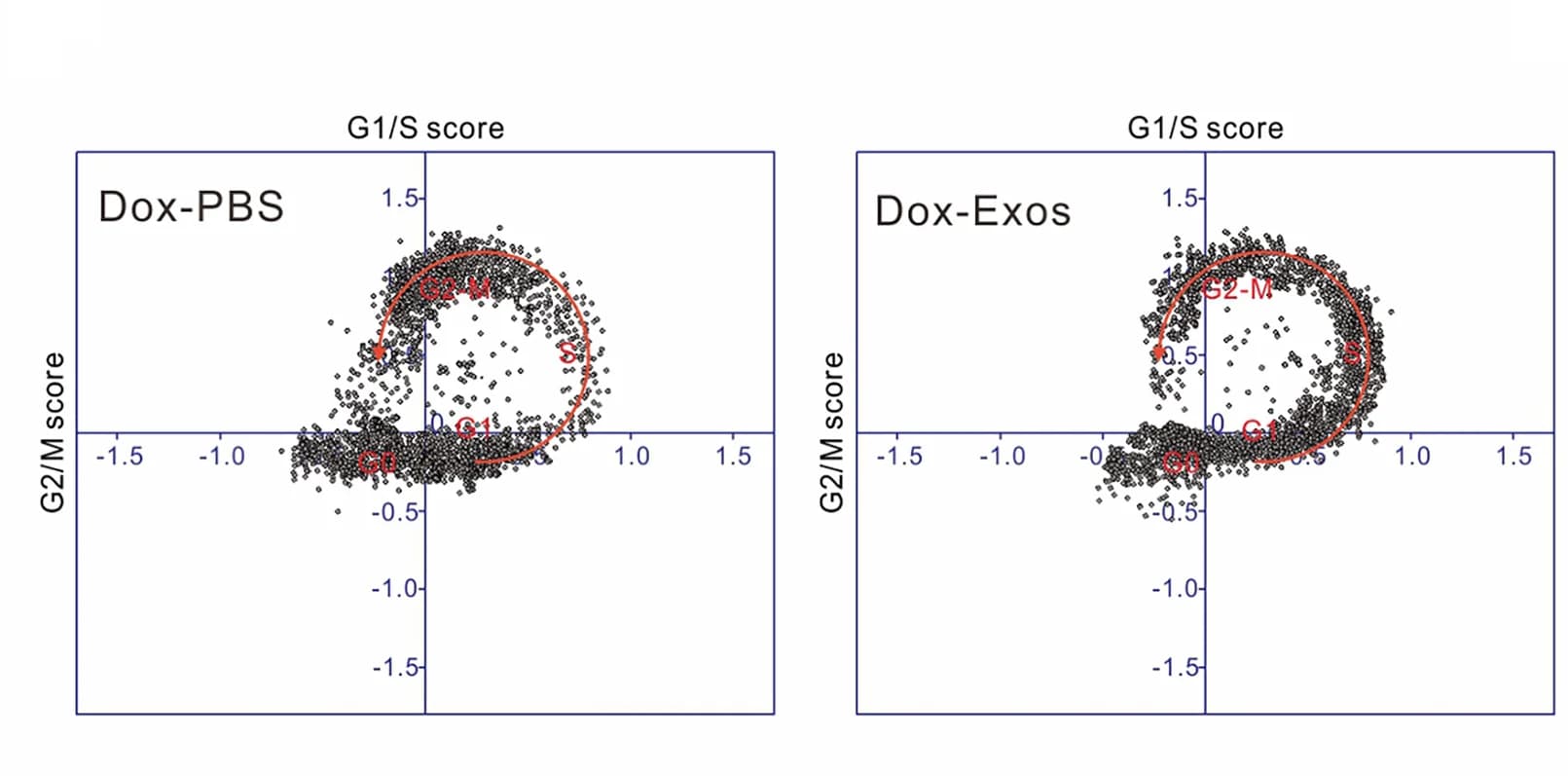 Open access visualization of Scatter Plot, Cell Cycle Trajectory, scRNA-seq