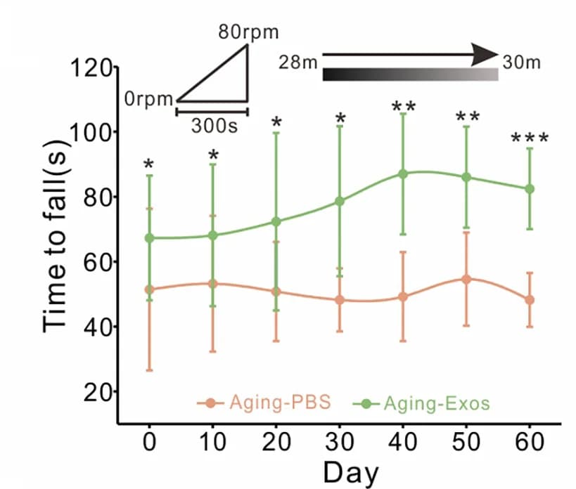 Open access visualization of Line Plot, Error Bars, Rotarod Test, Motor Function, Mice
