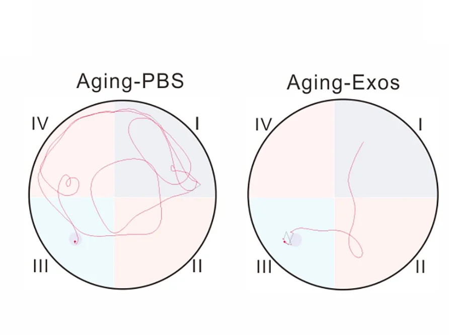 Open access visualization of Line Plot, Swim Paths, Mice, Learning Phase, Cognition