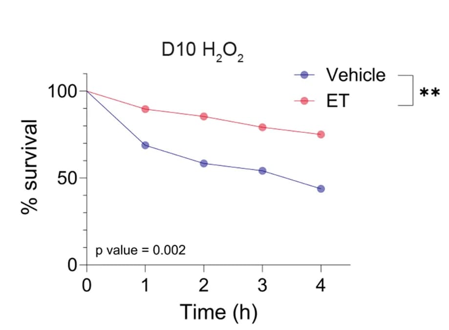 Open access visualization of Line Plot, Survival Curve, Survival Curves, Ergothioneine, D10 Worms