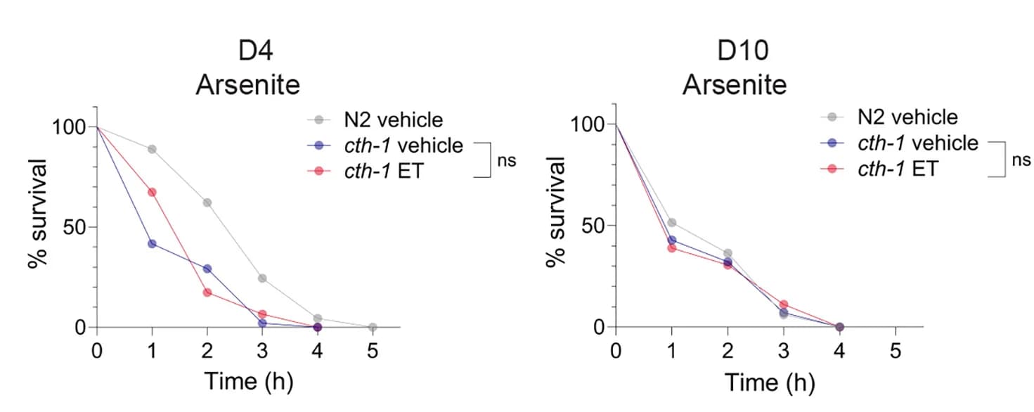 Open access visualization of Line Plot, Scatter Plot, Survival Curve, Survival Curves, ET