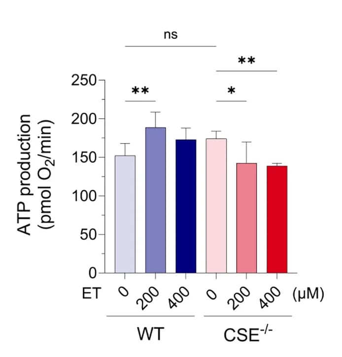 Open access visualization of Bar Plot, Error Bars, Respiratory Parameters, ATP Production