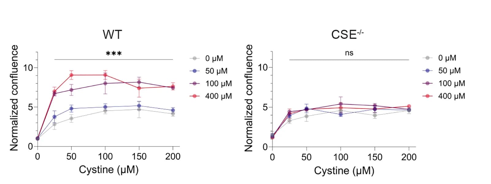 Open access visualization of Line Plot, Error Bars, Cell Proliferation, WT MEFs, CSE-/- MEFs
