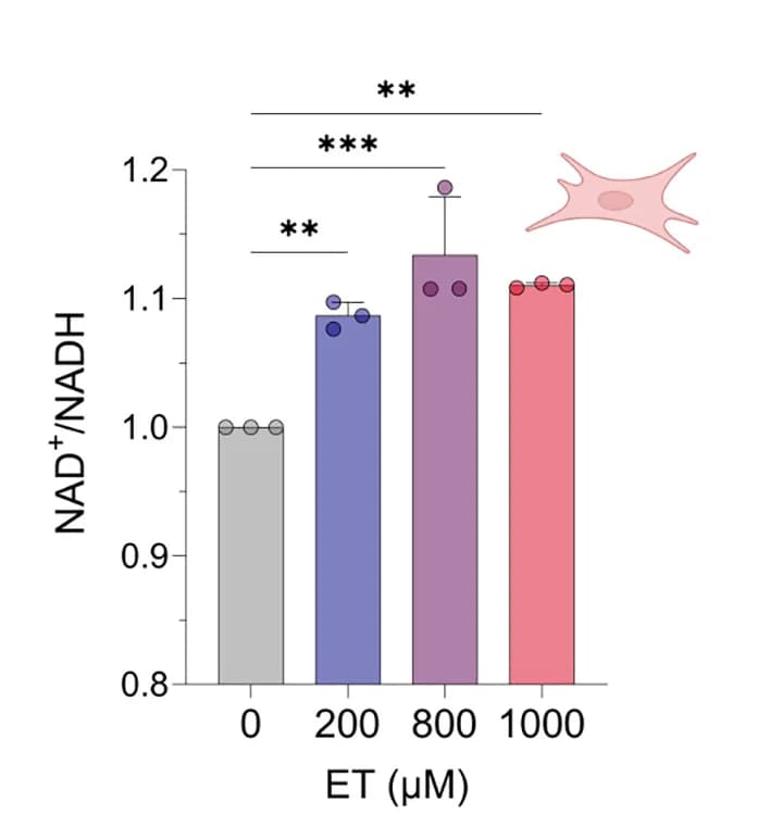 Open access visualization of Bar Plot, Error Bars, NAD+/NADH Ratios, MEF Cells, Ethylacetate