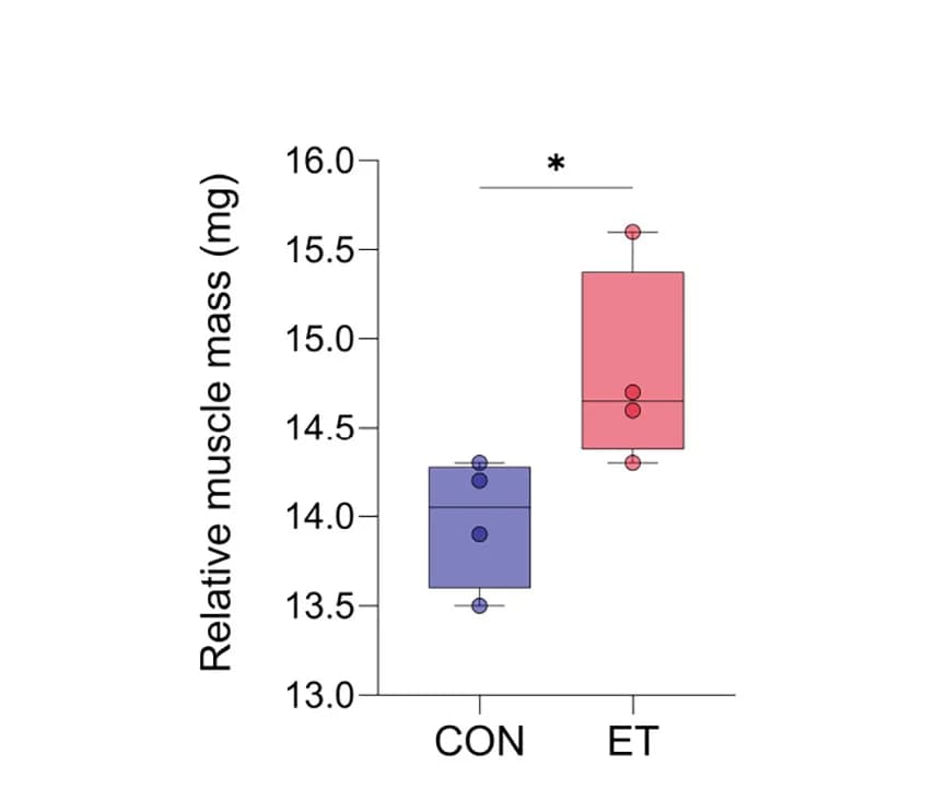 Open access visualization of Box Plot, Scatter Plot, Muscle Mass, Rats, Ethylacetate