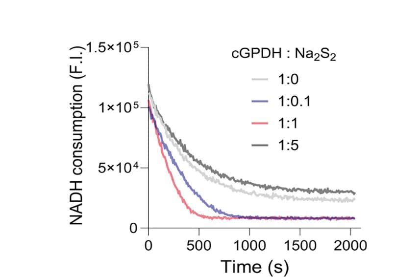 Open access visualization of Line Plot, cGPDH Activity, Purified Enzyme, Sodium Disulfide, Protein Persulfidation