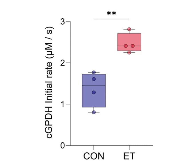 Open access visualization of Box Plot, Scatter Plot, cGPDH Activity, Muscle Tissue Lysates, Control