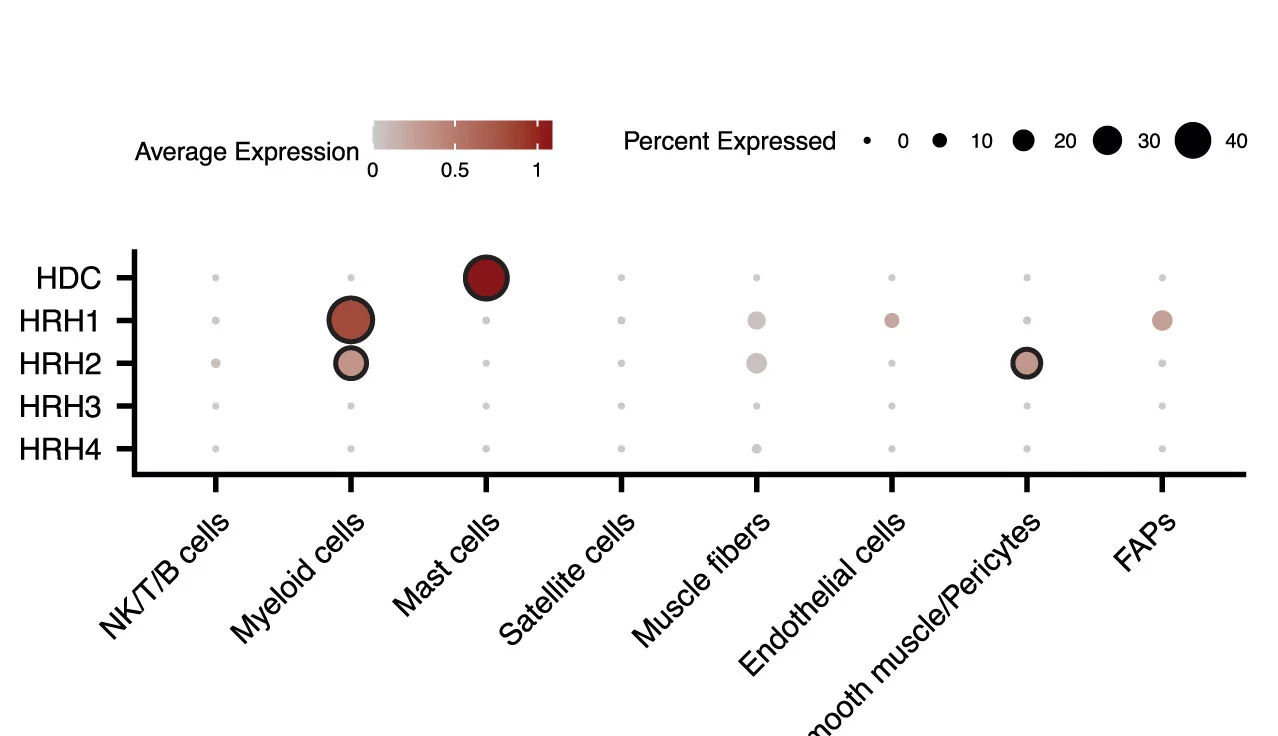 Open access visualization of Bubble Plot, Histamine Receptors, HDC, Single-Cell, Fiber Dataset