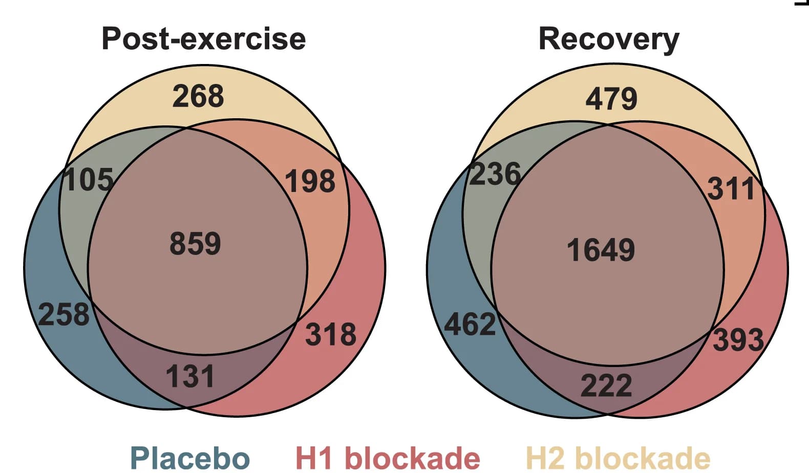 Open access visualization of Venn Diagram, Bulk Muscle, DEGs, Post-Exercise, Recovery