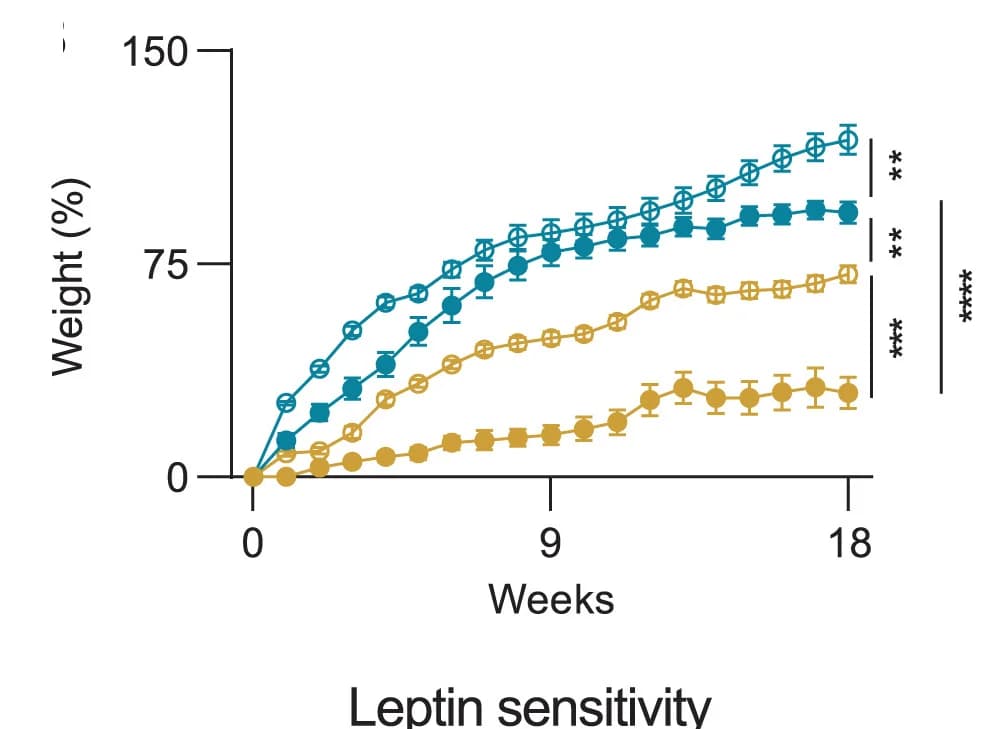 Open access visualization of Line Plot, Error Bars, Body Weight, Time-Course, ANOVA