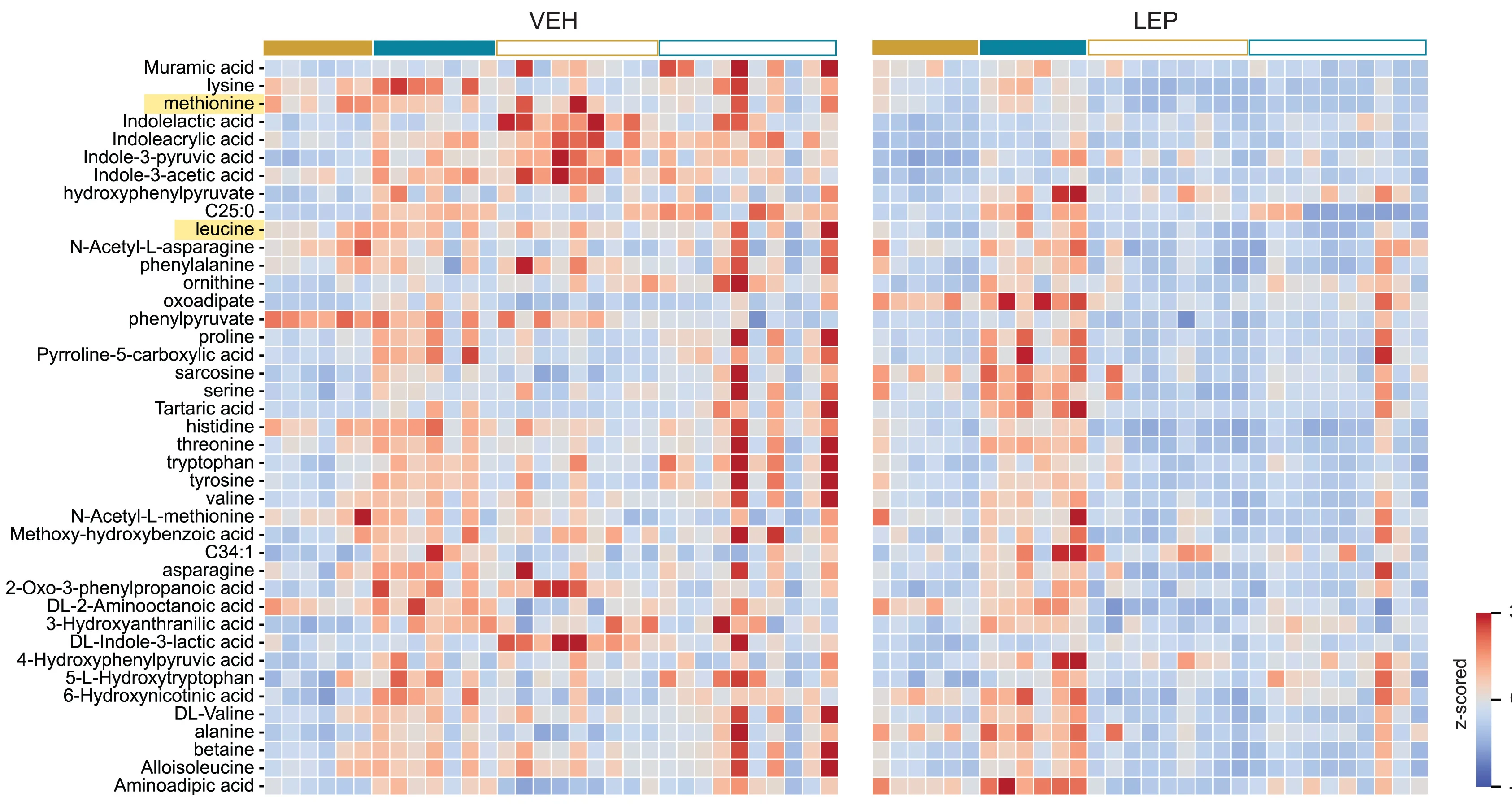 Open access visualization of Heatmap, Metabolites, Leptin, Vehicle