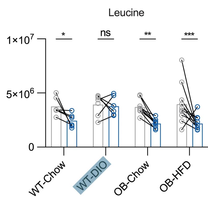Open access visualization of Bar Plot, Scatter Plot, Leucine, ANOVA, Statistical Significance