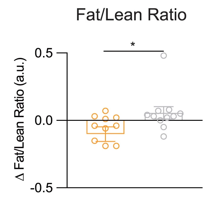 Open access visualization of Scatter Plot, Error Bars, WT-DIO, DIO Mice, RAP
