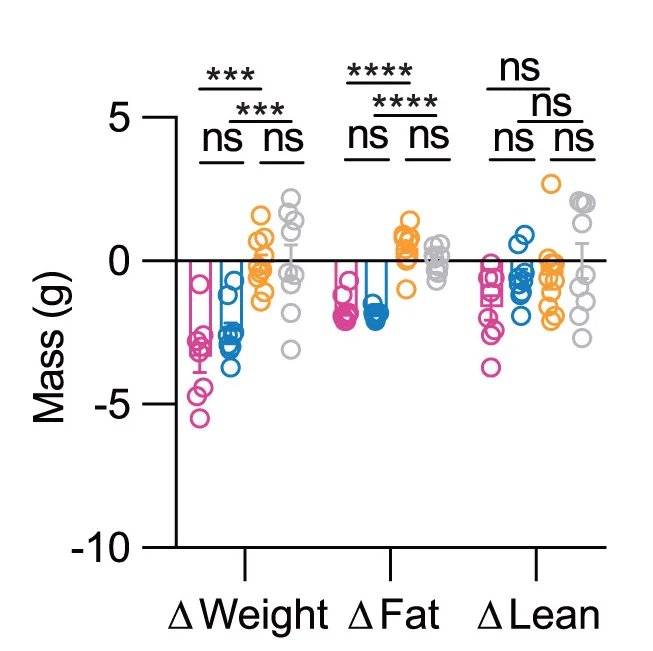 Open access visualization of Scatter Plot, Error Bars, WT-Chow, Lean Mice, RAP