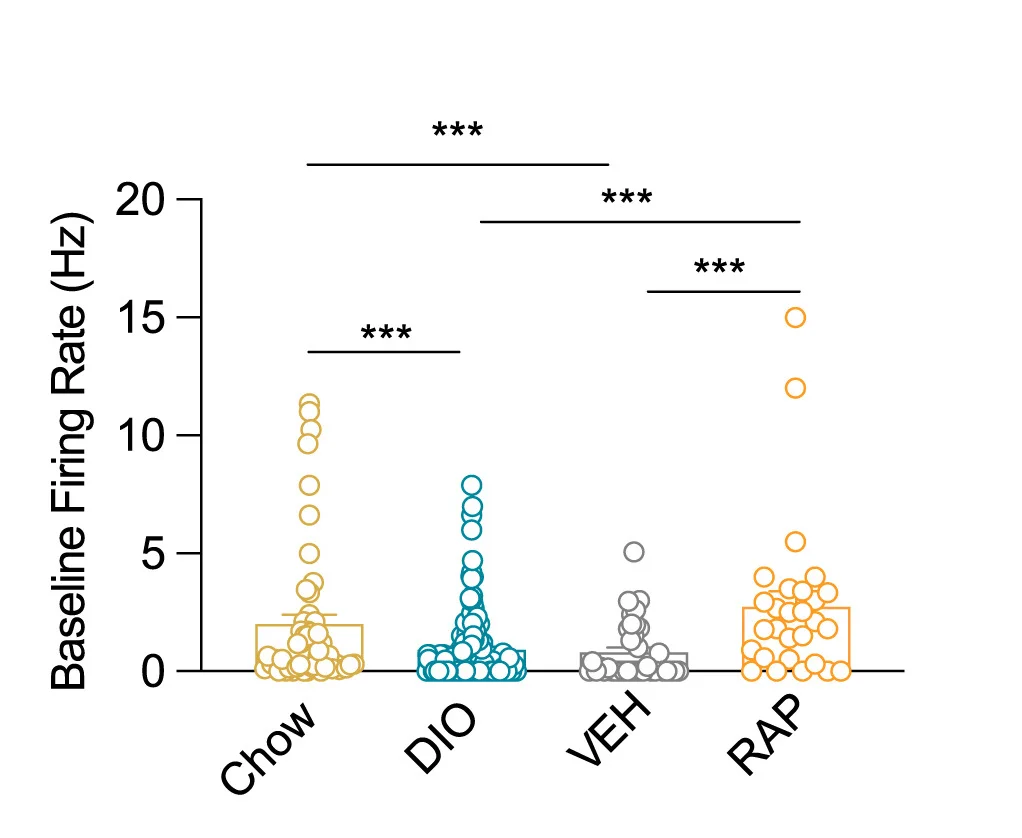 Open access visualization of Box Plot, Scatter Plot, Violin Plot, Firing Rate, POMC Neurons