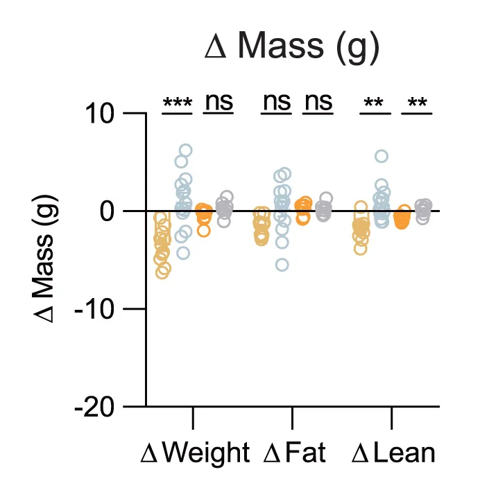 Open access visualization of Scatter Plot, Mass of Weight, Mass of Fat, Mass of Lean Tissue, POMC-dTA mice