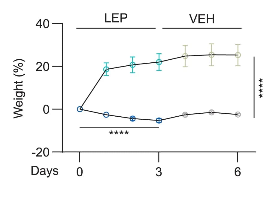 Open access visualization of Line Plot, Error Bars, Weight, Leptin Sensitivity Test, POMCtsc1-/- Mice