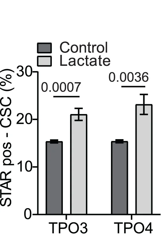 Open access visualization of Bar Plot, Clustered, Error Bars, Fluorescence-Activated Cell Sorting, CSC Percentage