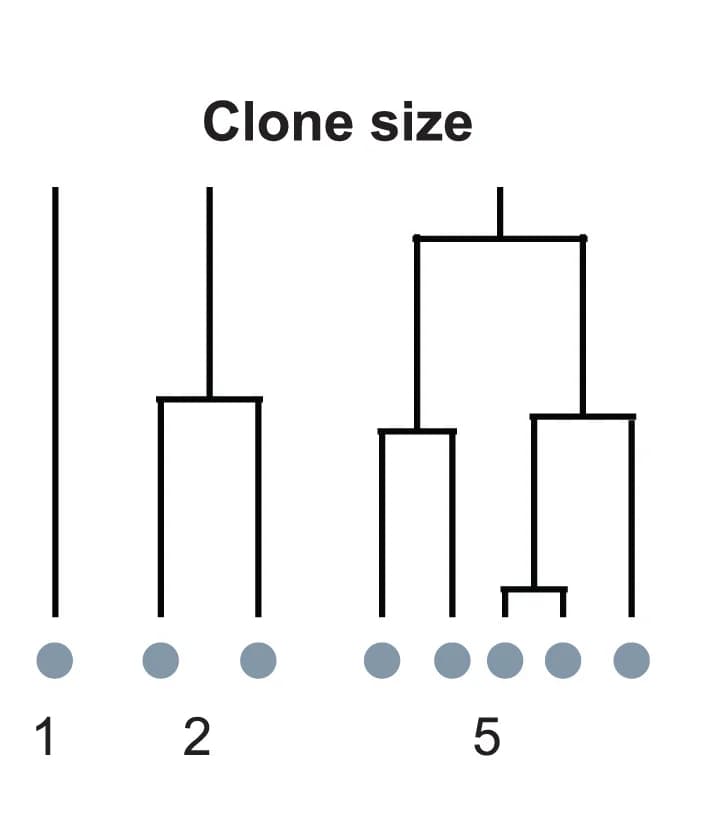 Open access visualization of Network, Pathway, Clone Sizes