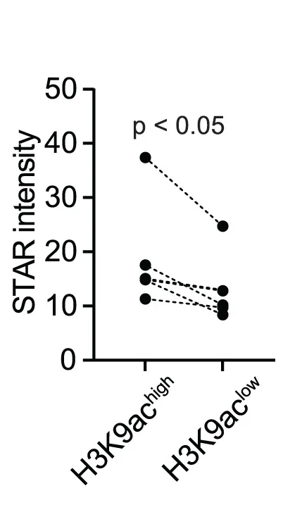 Open access visualization of Scatter Plot, STAR Intensity, H3K9ac, Nuclear Fraction