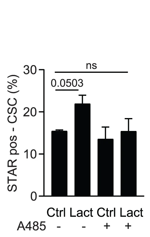 Open access visualization of Bar Plot, Error Bars, FACS Analysis, STAR-based CSCs, TPO3