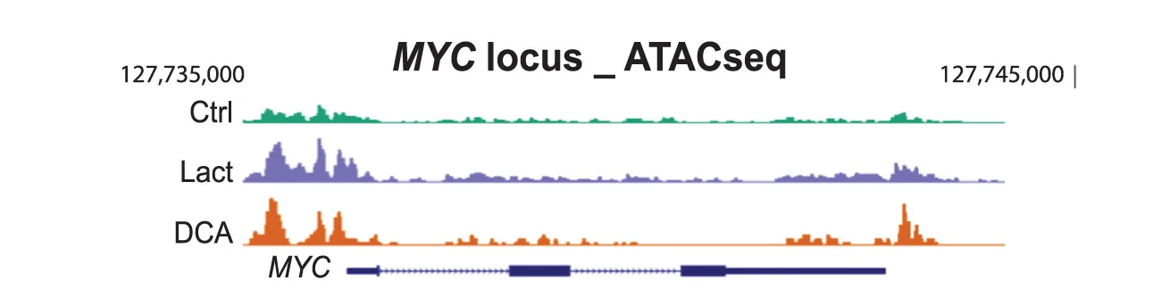 Open access visualization of Line Plot, Density Plot, MYC Locus, ATAC Peak Signals, Control
