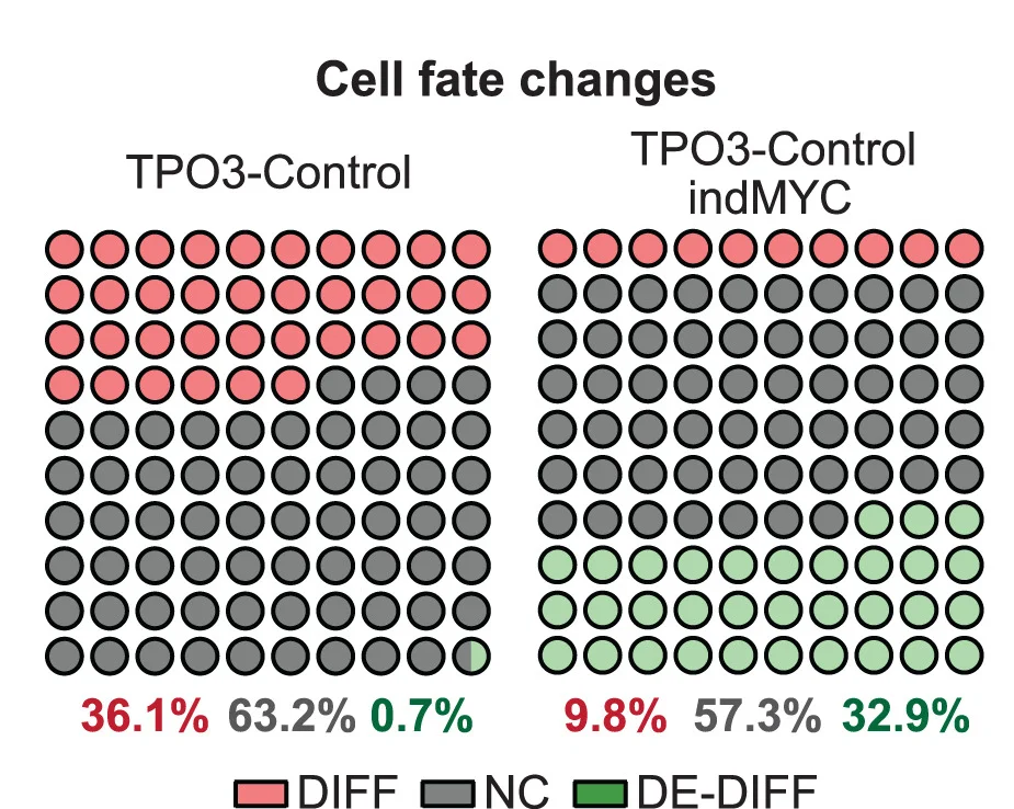 Open access visualization of Illustration, Cell Fate Changes, Differentiation, Dedifferentiation, TPO3 Development