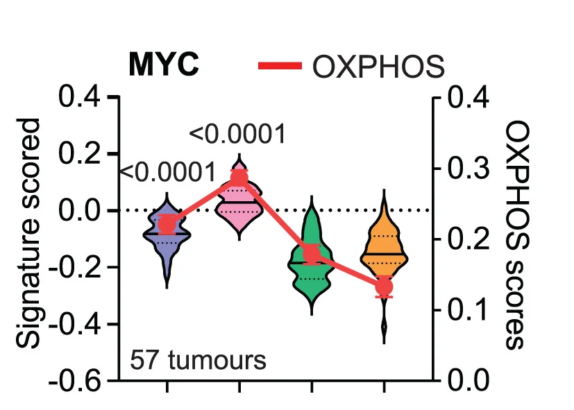 Open access visualization of Violin Plot, Line Plot, Error Bars, MYC-V2, Glycolysis