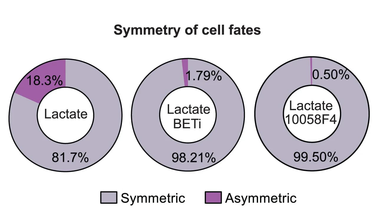 Open access visualization of Donut Chart, Cell Fate Symmetry, Sister-Pairs, TPO3, Lactate