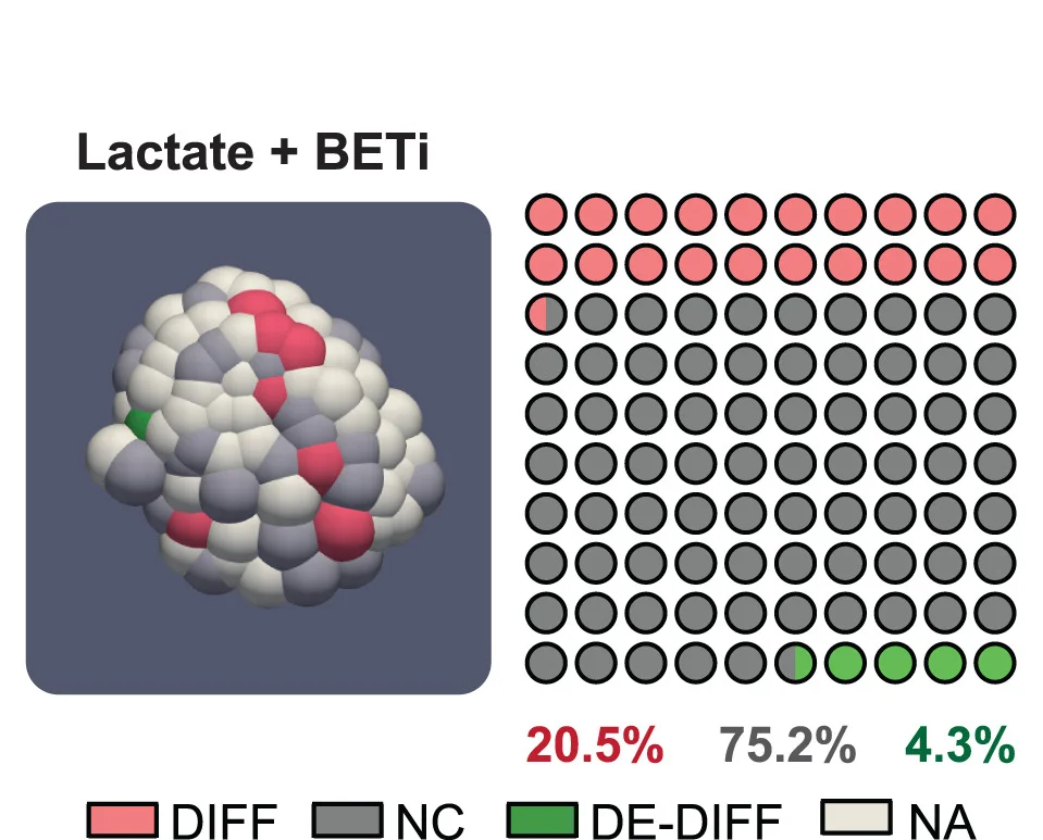 Open access visualization of 3D Plot, Chemical Structure, Cell Fate Changes, Digital Reconstruction, Organoids