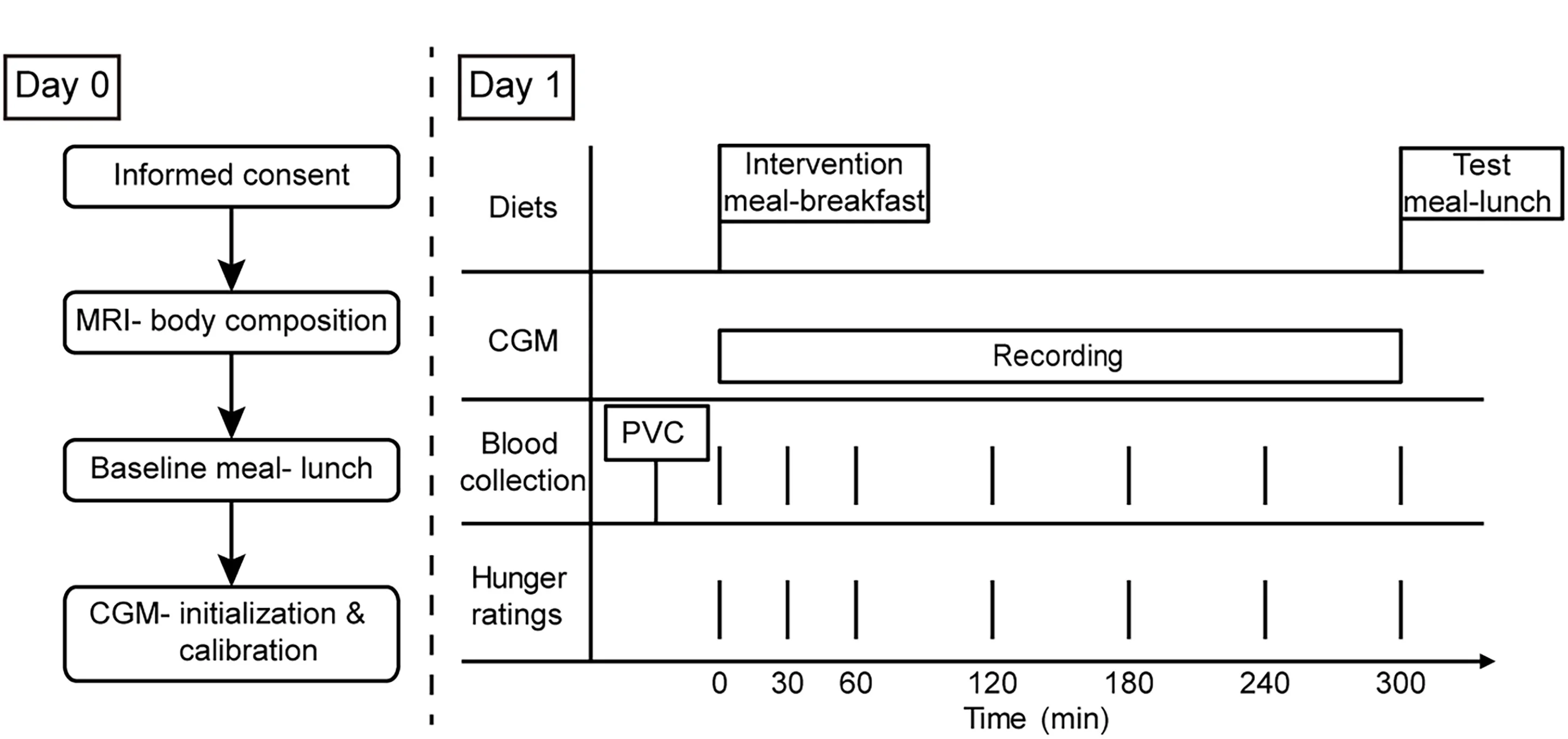 Open access visualization of Workflow, Flowchart, MRI, Body Composition, Continuous Glucose Monitor