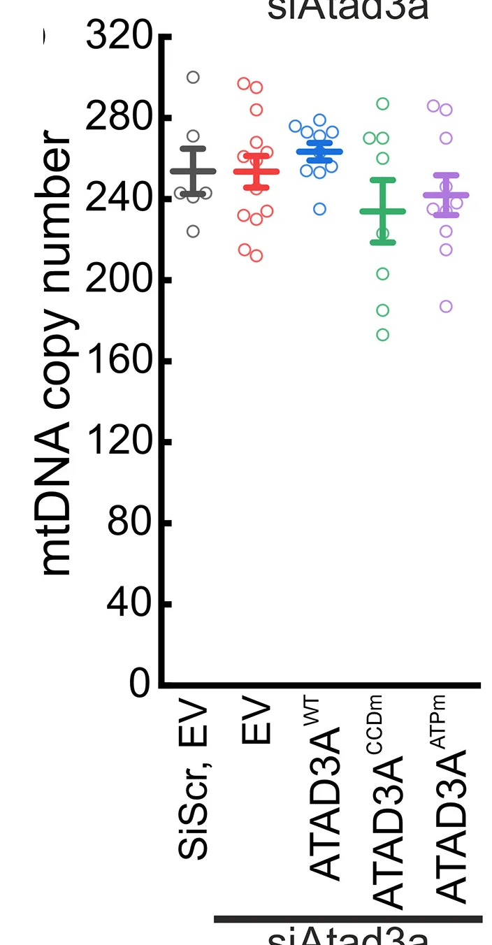 Open access visualization of Scatter Plot, Error Bars, MAFs, siRNA, Retroviruses