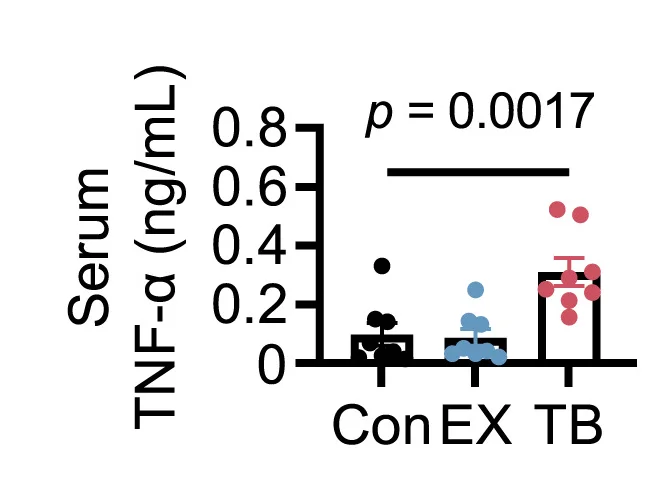 Open access visualization of Bar Plot, Scatter Plot, Error Bars, Violin Plot, Adi Proportion