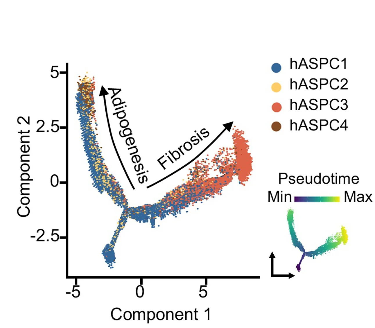 Open access visualization of Scatter Plot, UMAP, Human ASPCs, Pseudotime, Monocle2