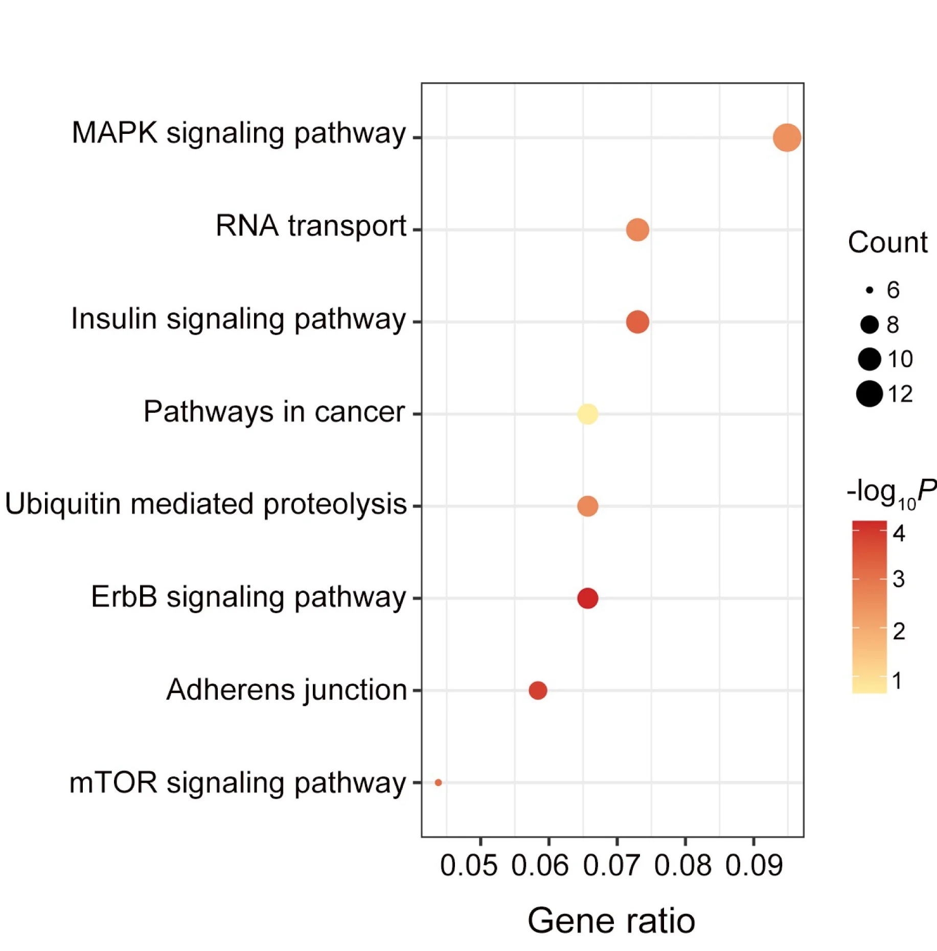 Open access visualization of Scatter Plot, Bubble Plot, Upregulated Pathways, Phosphoproteomics, GO Analysis