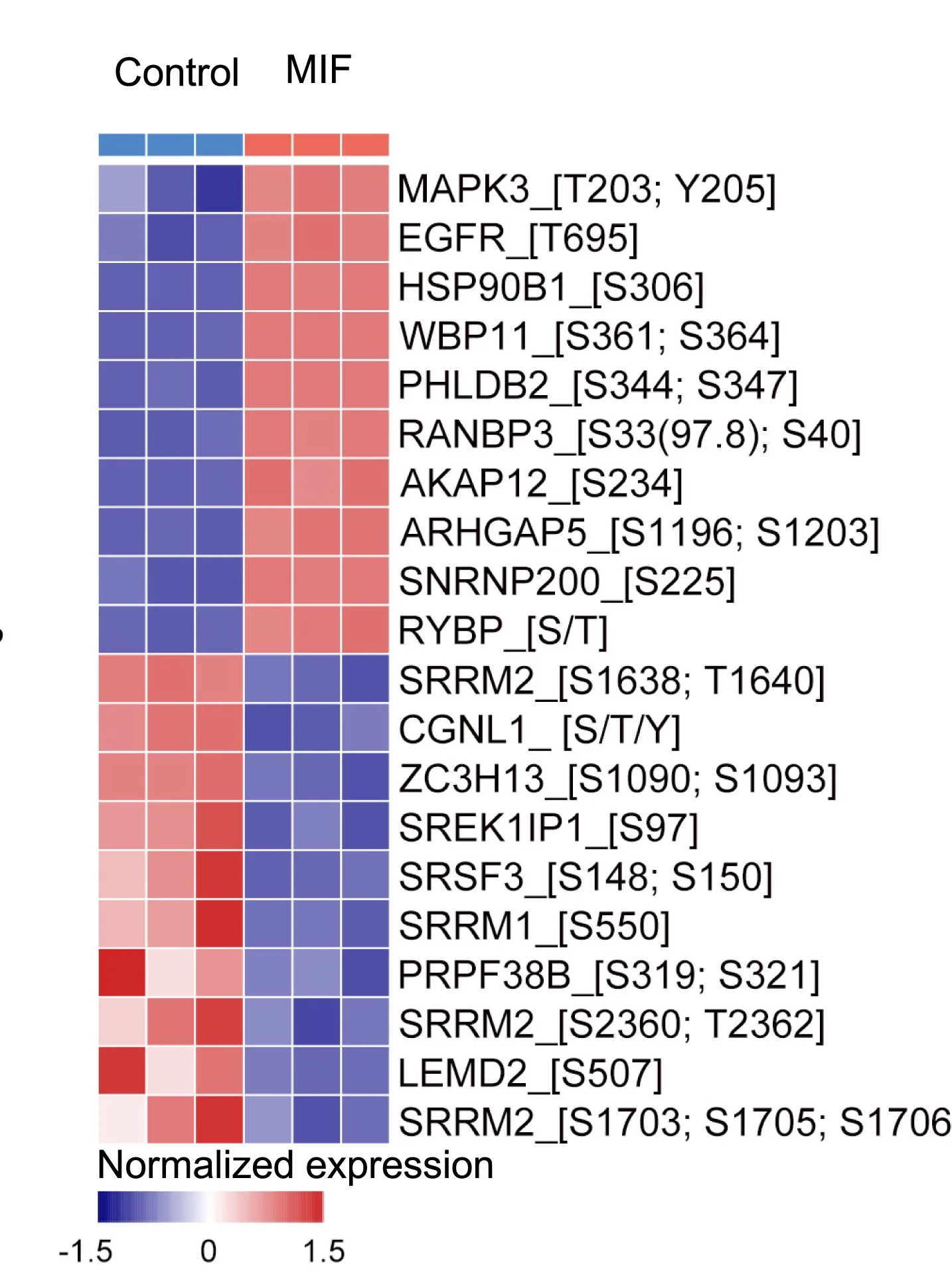 Open access visualization of Heatmap, Differentially Phosphorylated Proteins, SVF Cells, PBS, MIF