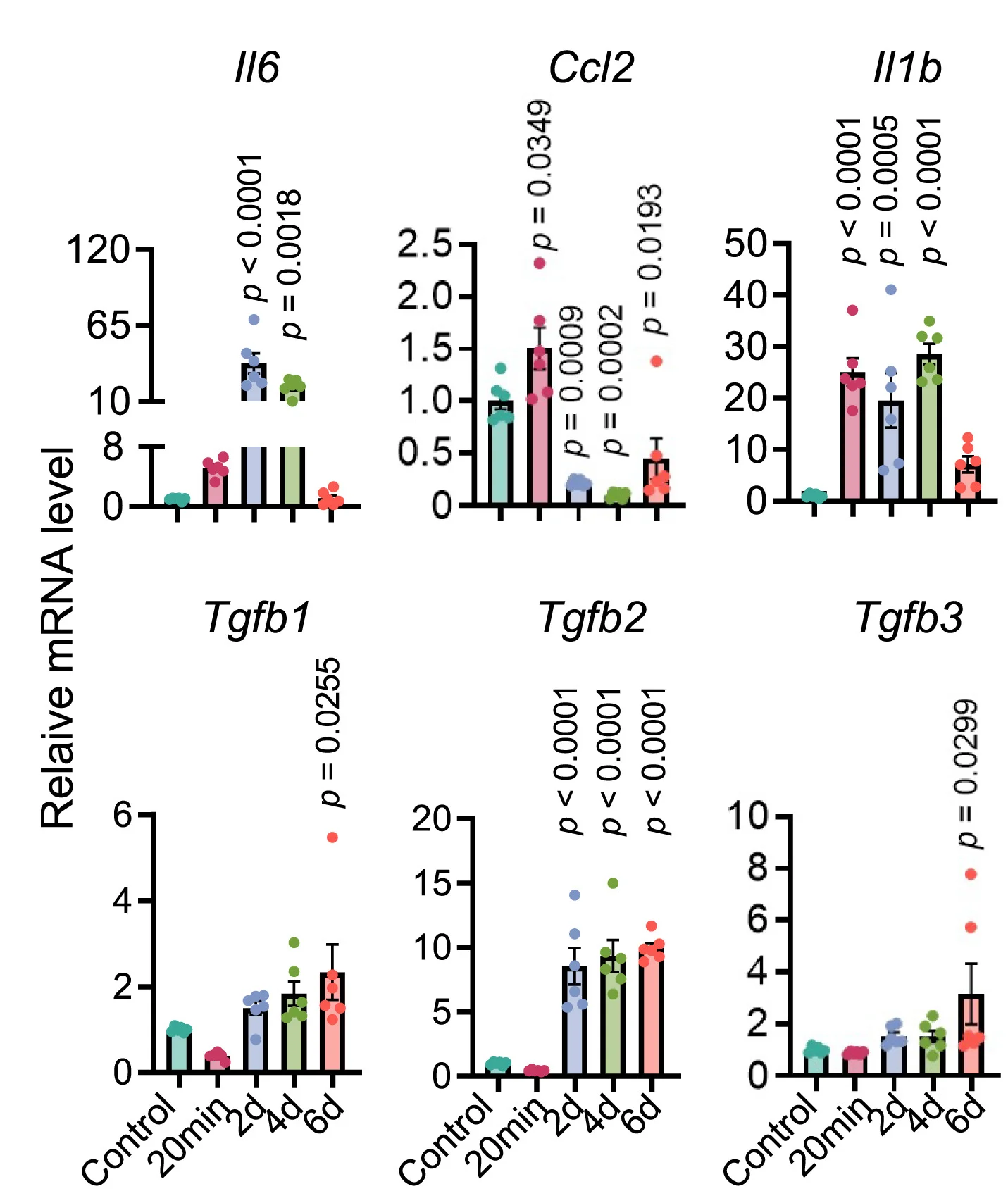 Open access visualization of Bar Plot, Error Bars, Scatter Plot, mRNA Levels, Inflammation Genes