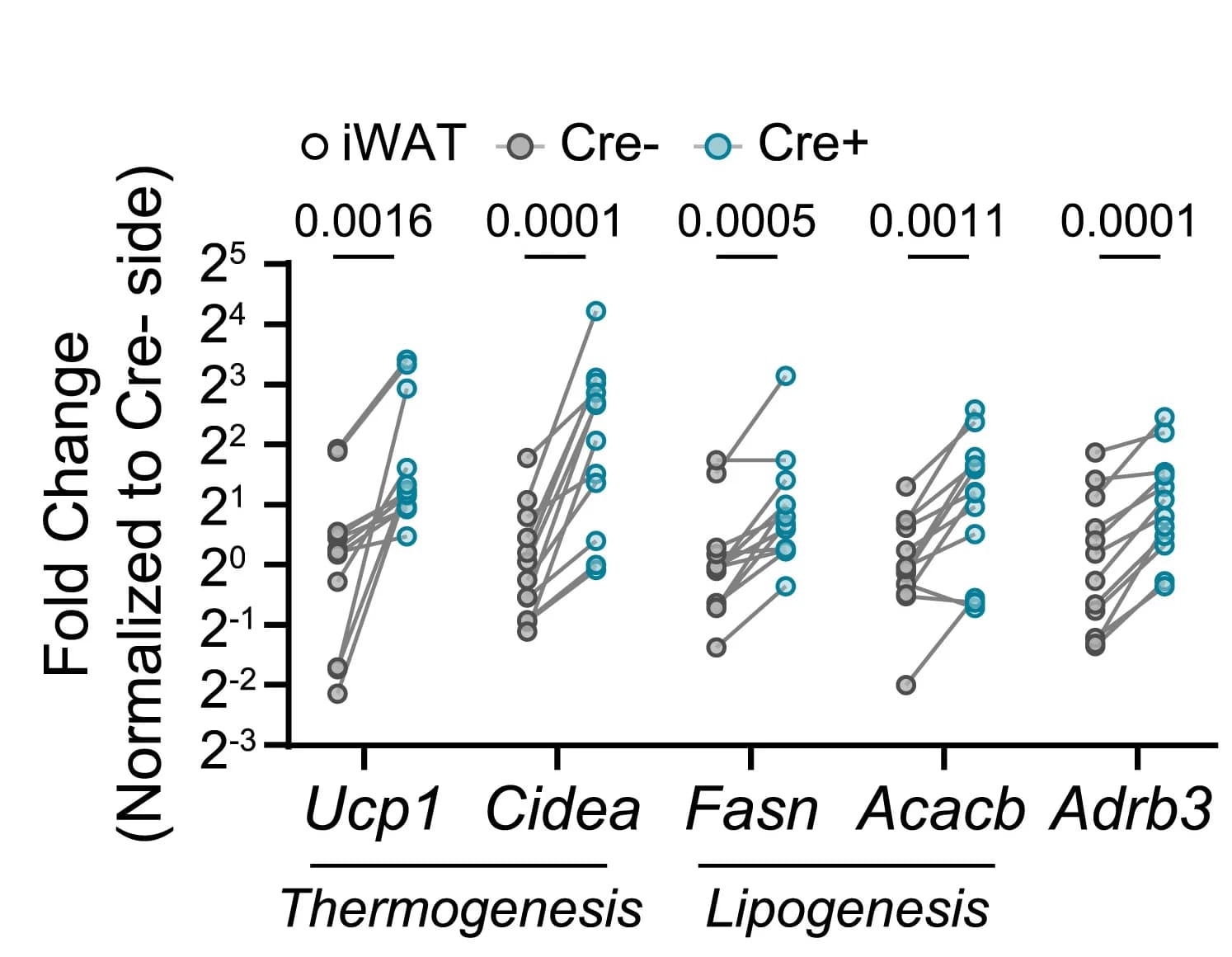 Open access visualization of Scatter Plot, Line Plot, Gene Expression, iWAT, False Discovery Rate