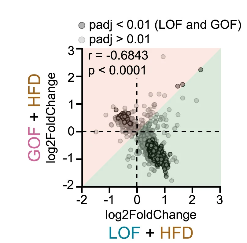 Open access visualization of Scatter Plot, Regression Plot, Fold-Change Correlation, DRG Ablation, Signature Genes