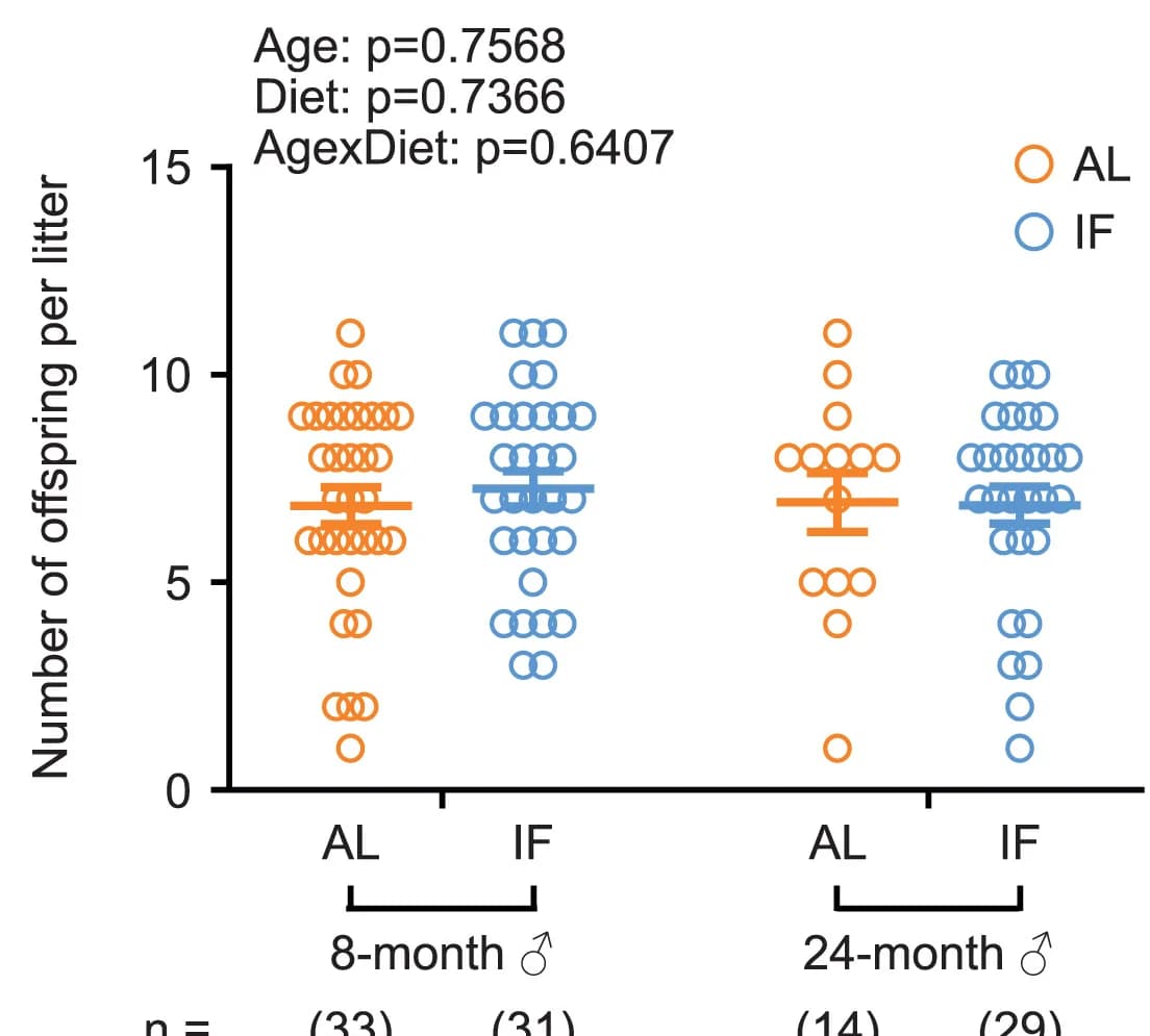 Open access visualization of Scatter Plot, Error Bars, Litter Size, Offspring, Male Mice