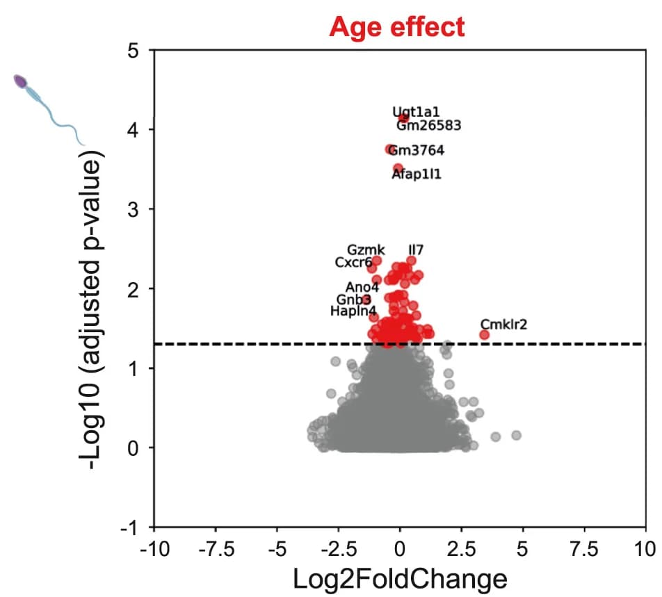 Open access visualization of Volcano Plot, Scatter Plot, Log2FC, FDR, Age Effect