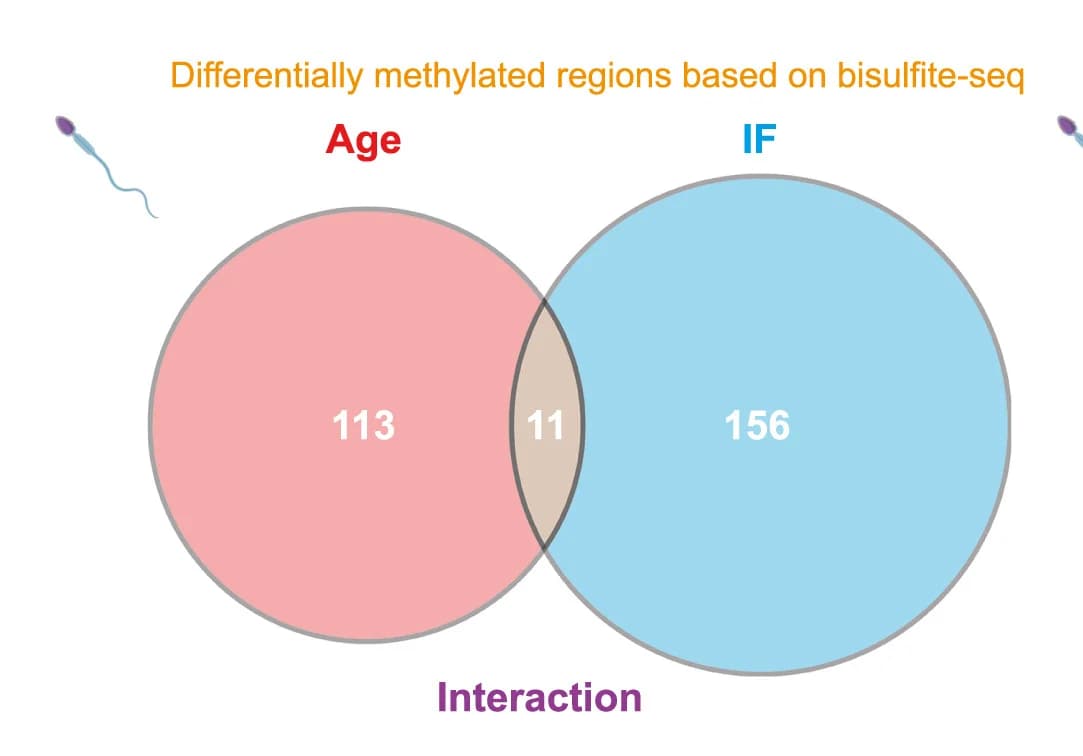 Open access visualization of Venn Diagram, Genomic Regions, Differentially Methylated, Age, Diet
