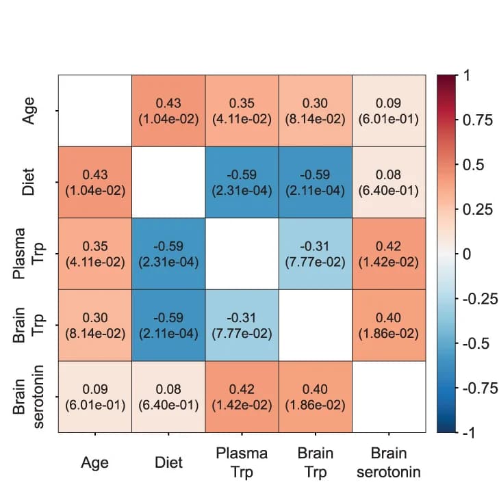 Open access visualization of Heatmap, Partial Correlation Analyses, Brain Serotonin, Plasma Tryptophan, Brain Tryptophan