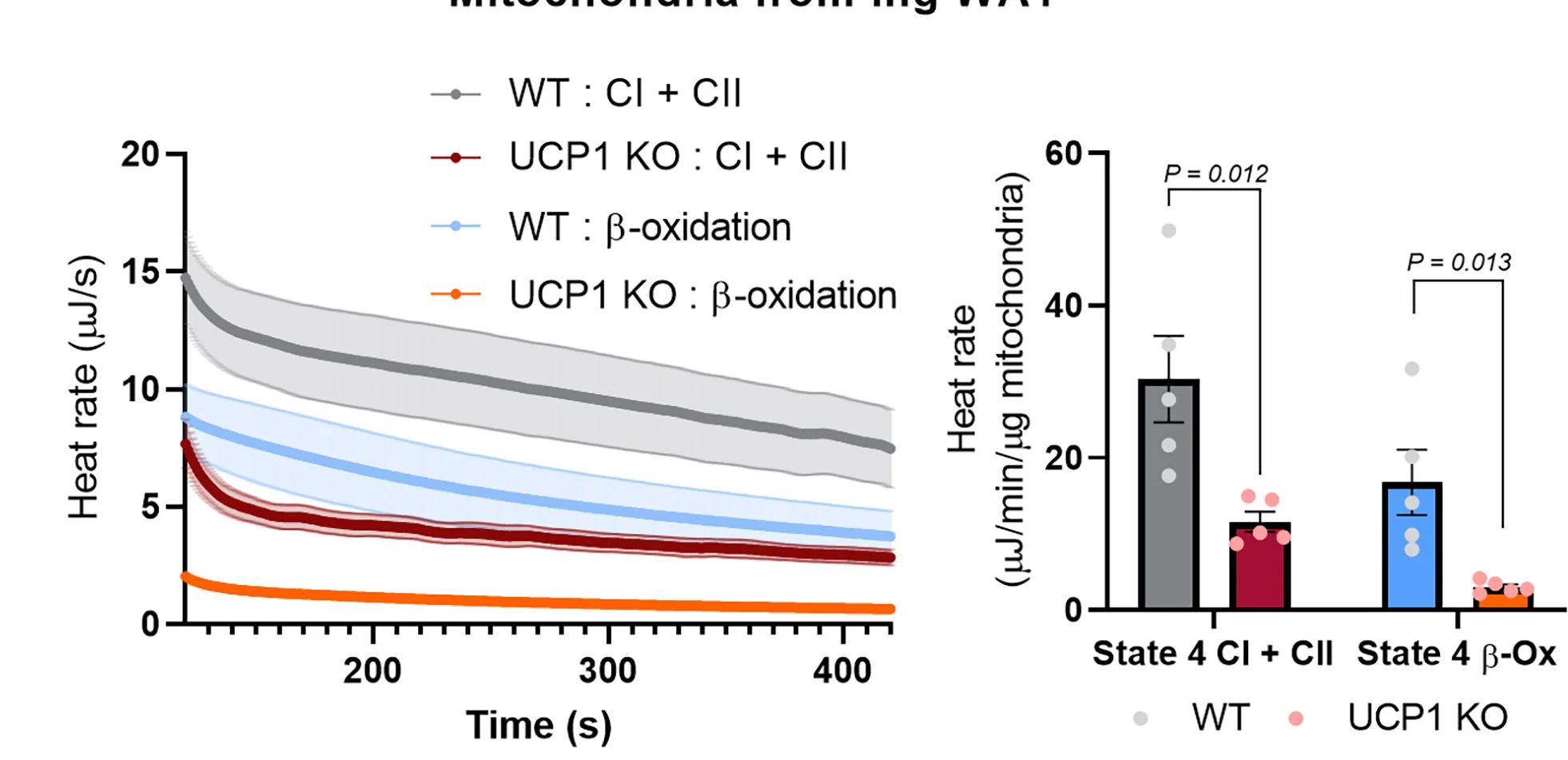 Open access visualization of Line Plot, Error Bars, Bar Plot, Heat Rate, Mitochondria